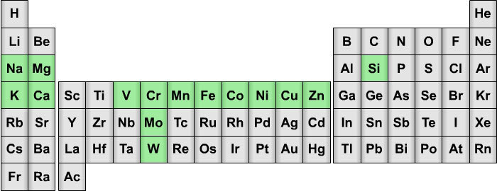 bio_1c