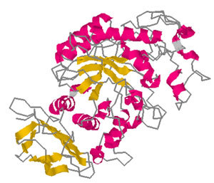 chem_amylase