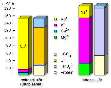 chem_diagramm