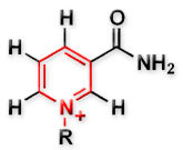 cyclo_het_3a