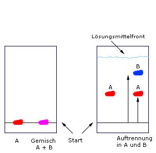 ggw_duennschicht