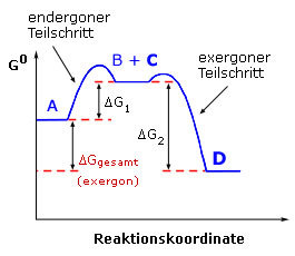 thermo_th_5d_2