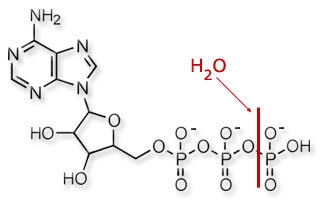 thermo_th_6b